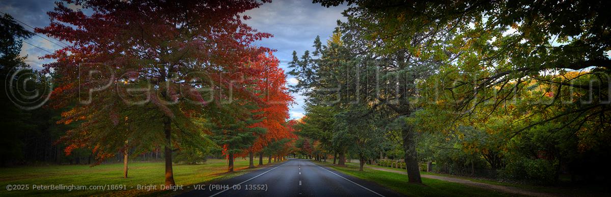 Peter Bellingham Photography Bright Delight - VIC (PBH4 00 13552)